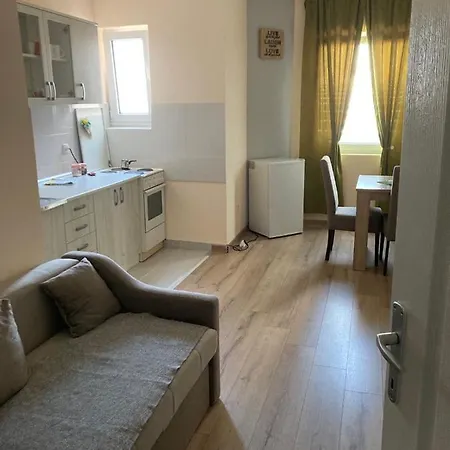 Stan Na Dan-loznica 2