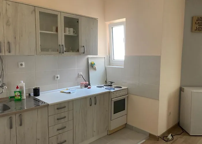 Stan Na Dan-loznica 2 公寓 洛兹尼察