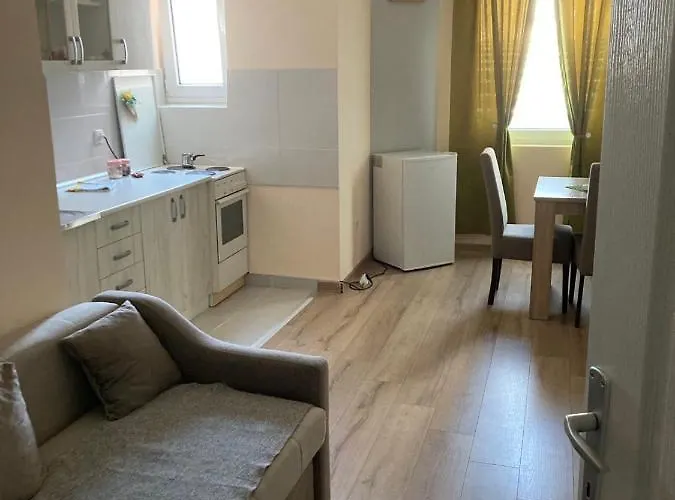 Stan Na Dan-loznica 2